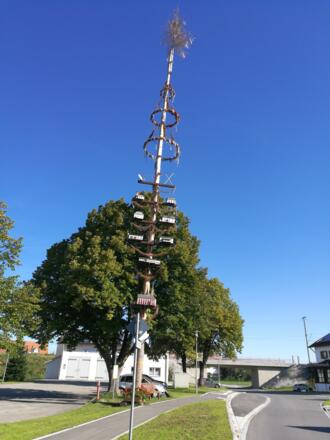 Maibaum in Westerheim
