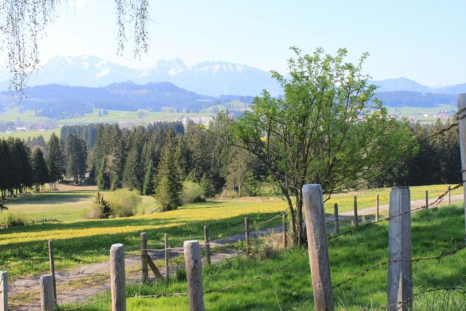 Wanderweg am Beichelstein 