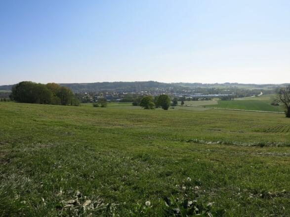 Blick von Halbersberg auf Ottobeuren