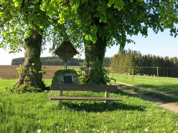 Marterl zwichen Dingisweiler und Oberweiler