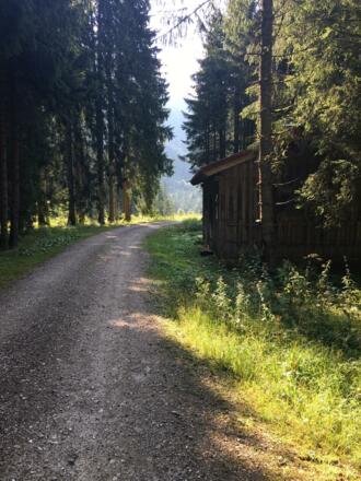 Forstweg in Richtung Wankerfleck