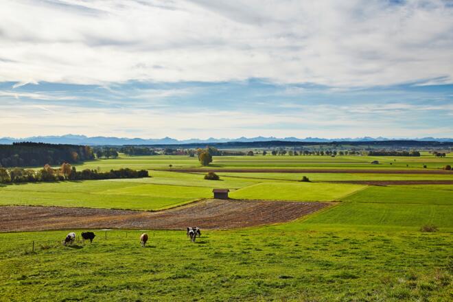 Alpenblick von Hartenthal aus