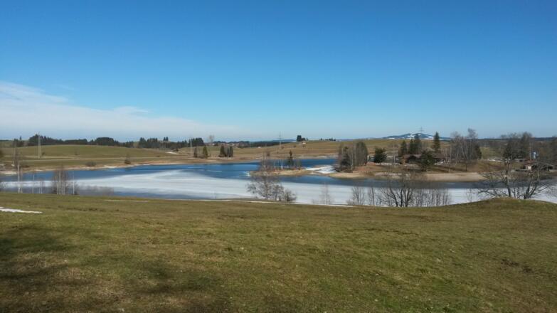 Der winterliche Schwaltenweiher