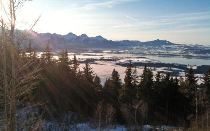 Aussicht vom Buchenbergplateau