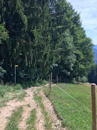 Bachweg zurück zur Talstation