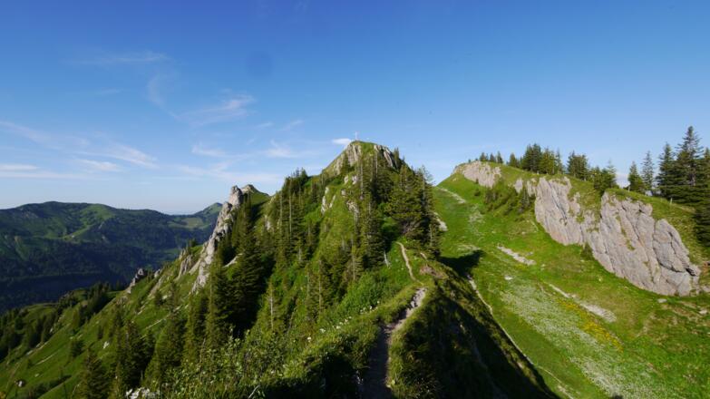 Weg zum Siplinger Kopf