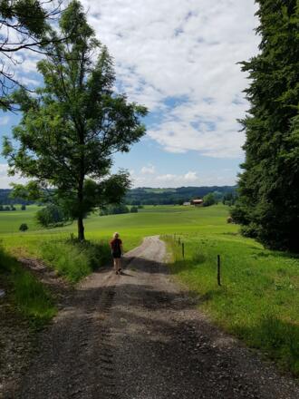 Wanderweg durch die Wiesen