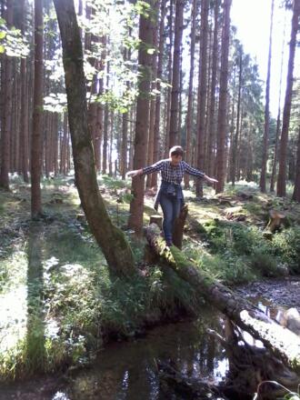 Eine Bachüberschreitung