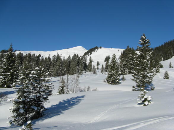 Unser erstes Ziel, Riedberger Horn, mit dem Ostrücken von rechts
