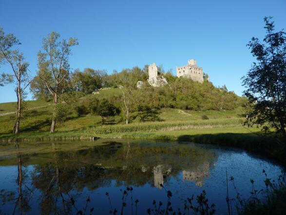 Blick auf Ruine Niederhaus