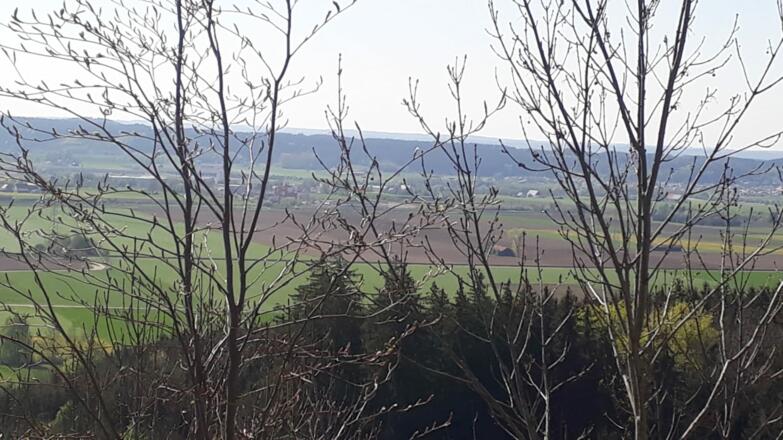 Wunderschöner Blick durch Bäume runter auf Wolfertschwenden