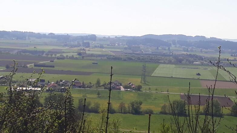 Blick nach Wolfertschwenden
