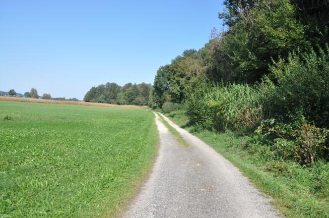 Wandern entlang der Günz