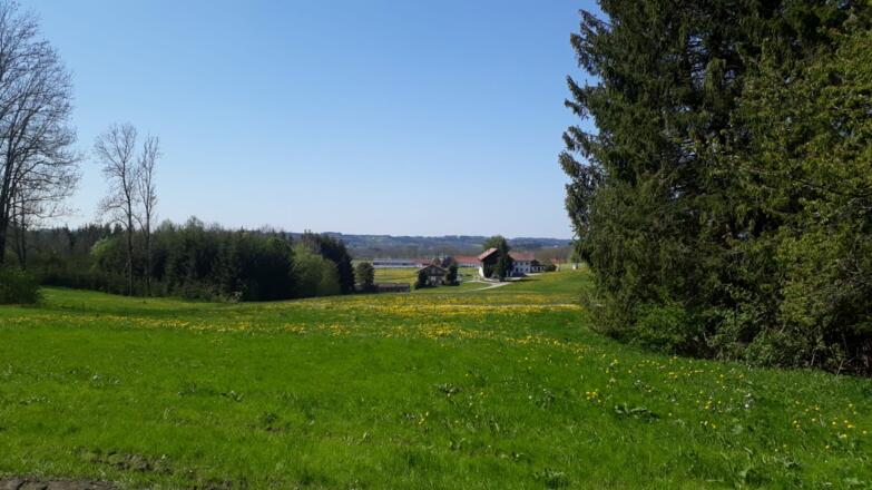 Zwischen Schoren und Kuttern Höhe Hölzle