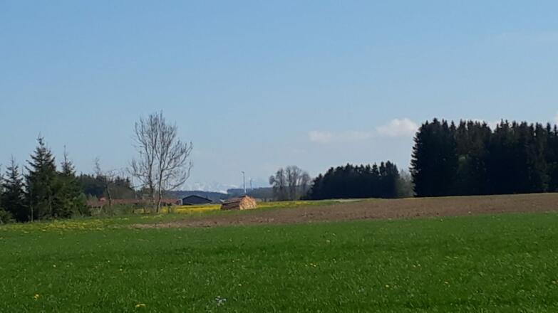 Oberhaslach Blick Richtung Berge - Obergünzburg