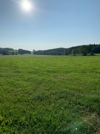 Blick Richtung Schelmenheide