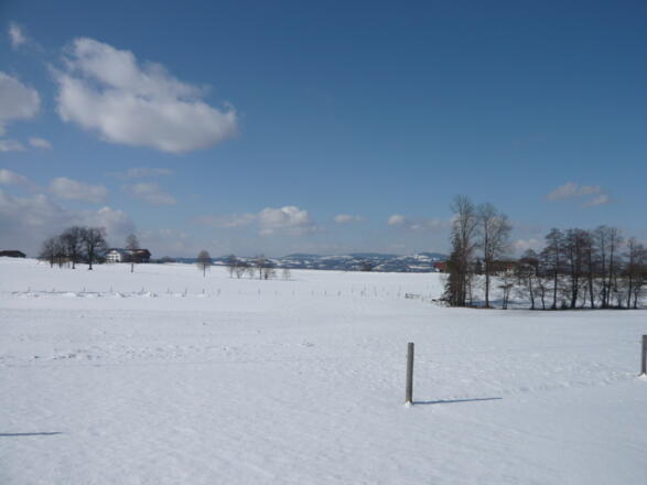 Blick vom Rand des Kempter Waldes Richtung Westen (1)
