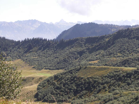 Blick vom Dreifahnenkopf