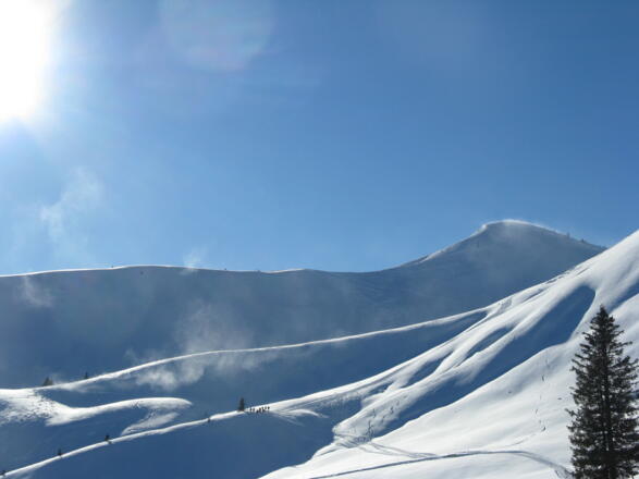 Riedberger Horn aus dem Bolgental, mit dem langen Ostrücken bei aufkommenden Wind