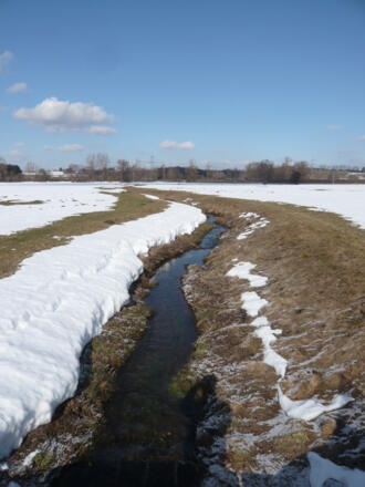 Bach bei Betzigau (1)