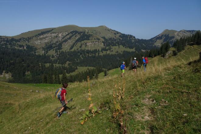 Blick zum Rindalphorn