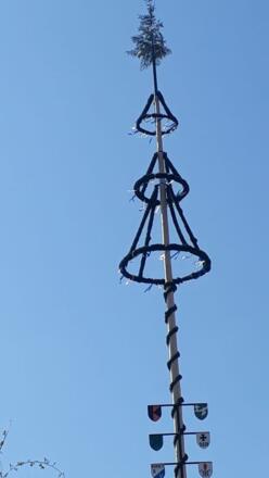 Maibaum in Böhen