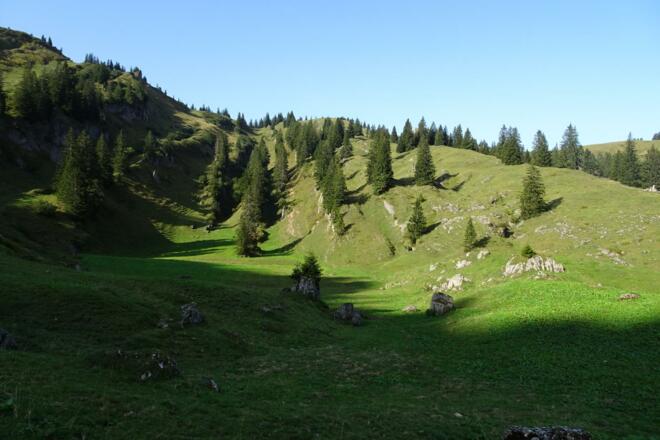 Bei der Oberen Siplinger Alpe