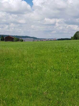 Blick auf Ottobeuren