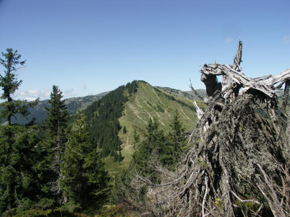Blick auf das Höllritzereck