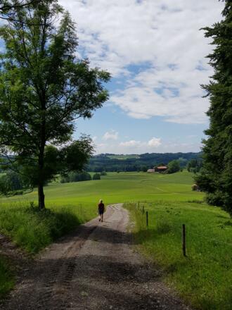 Wanderweg bergab durch malerische Wiesen