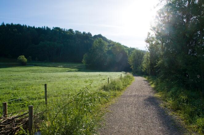 Wanderweg am Waldrand bei Rotkreuz