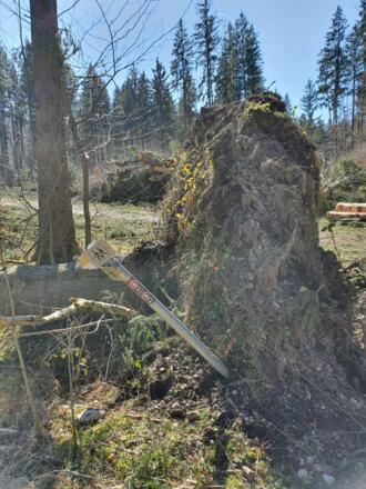 Umgekippter Baum mit Wegweiser (Wegweiser wird baldmöglichst wieder aufgestellt!)