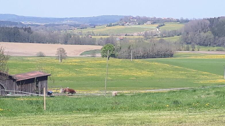 Oberhaslach Richtung Willer