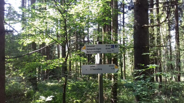 Wegweiser im Wald
