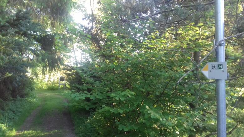 Wanderweg bei der Schickling-Stiftung