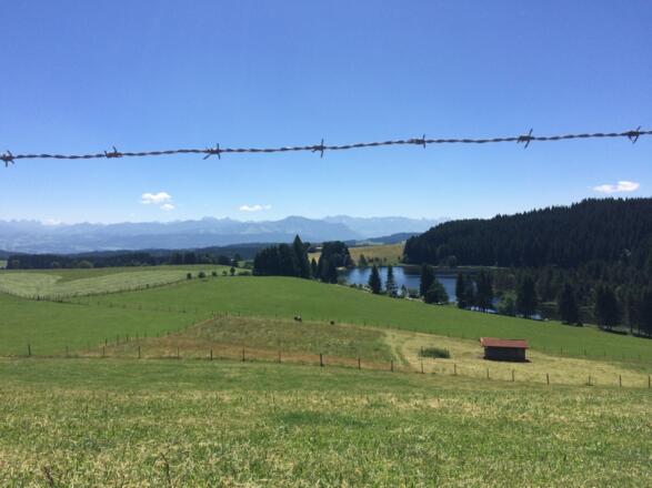 Blick auf Eschacher Weiher