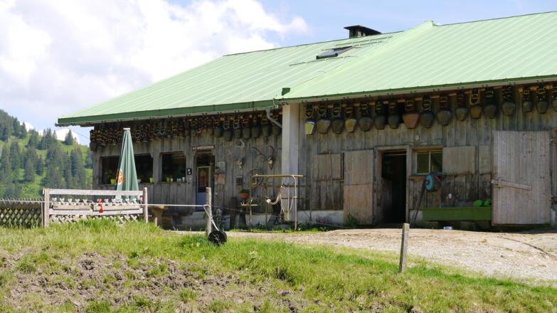 Blick auf die Obere Balderschwanger Alpe
