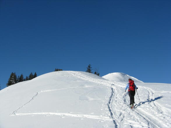 Auf dem wunderbaren Ostrücken; vor uns das Riedberger Horn