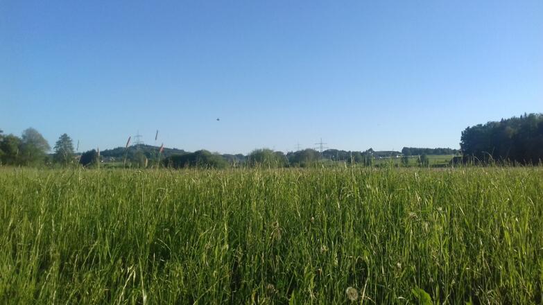 Blick nach Halbersberg