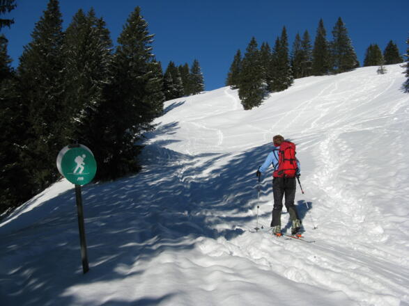 Auch hier sollte man das &quot;Skibergsteigen umweltfreundlich&quot; des DAV berücksichtigen!