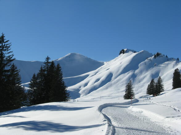 Im &quot;kleinen Boden, ca. 1355 m,&quot; des Bolgental
