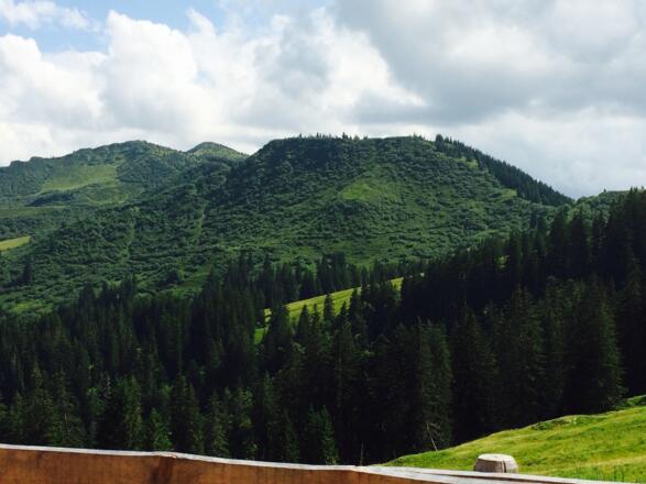 Blick von der Alpe Höllritzen zum Riedberger Horn