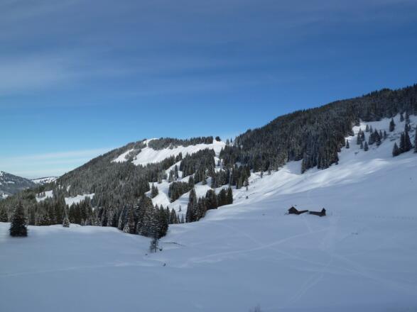 Ober-Alpe im Winter mit Rangiswanger Horn