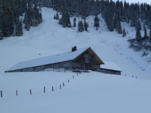 Ober-Alpe im Winter