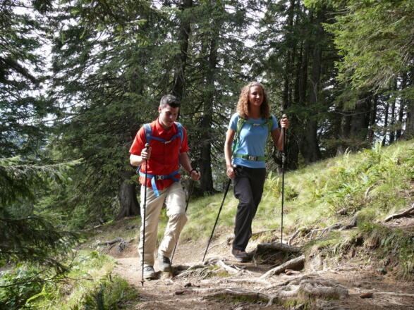 Zwischen Bolsterlanger und Riedberger Horn