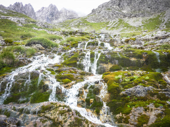 Der Bach dem man folgt