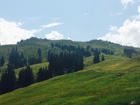 Blick von der Alpe Höllritzen zum Höllritzer Eck