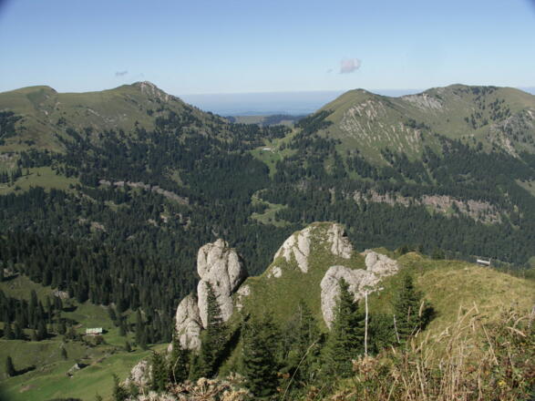 Blick auf die Nagelfluhkette. 