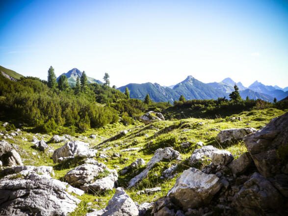 Hinter dem Lachenjoch das Gappenfelder Nötland