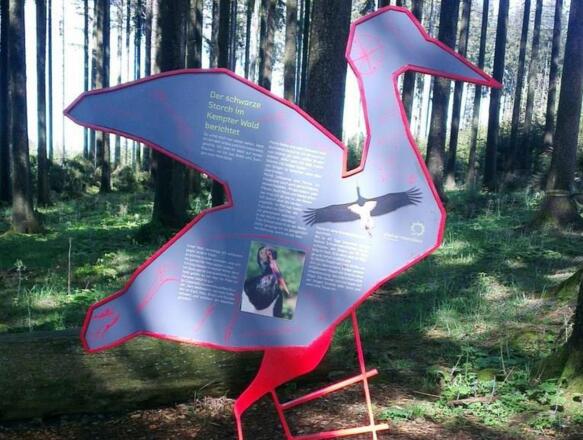  Moorerlebnis Mosaikreich, Bodelsberg – Schwarzstorch-Modell